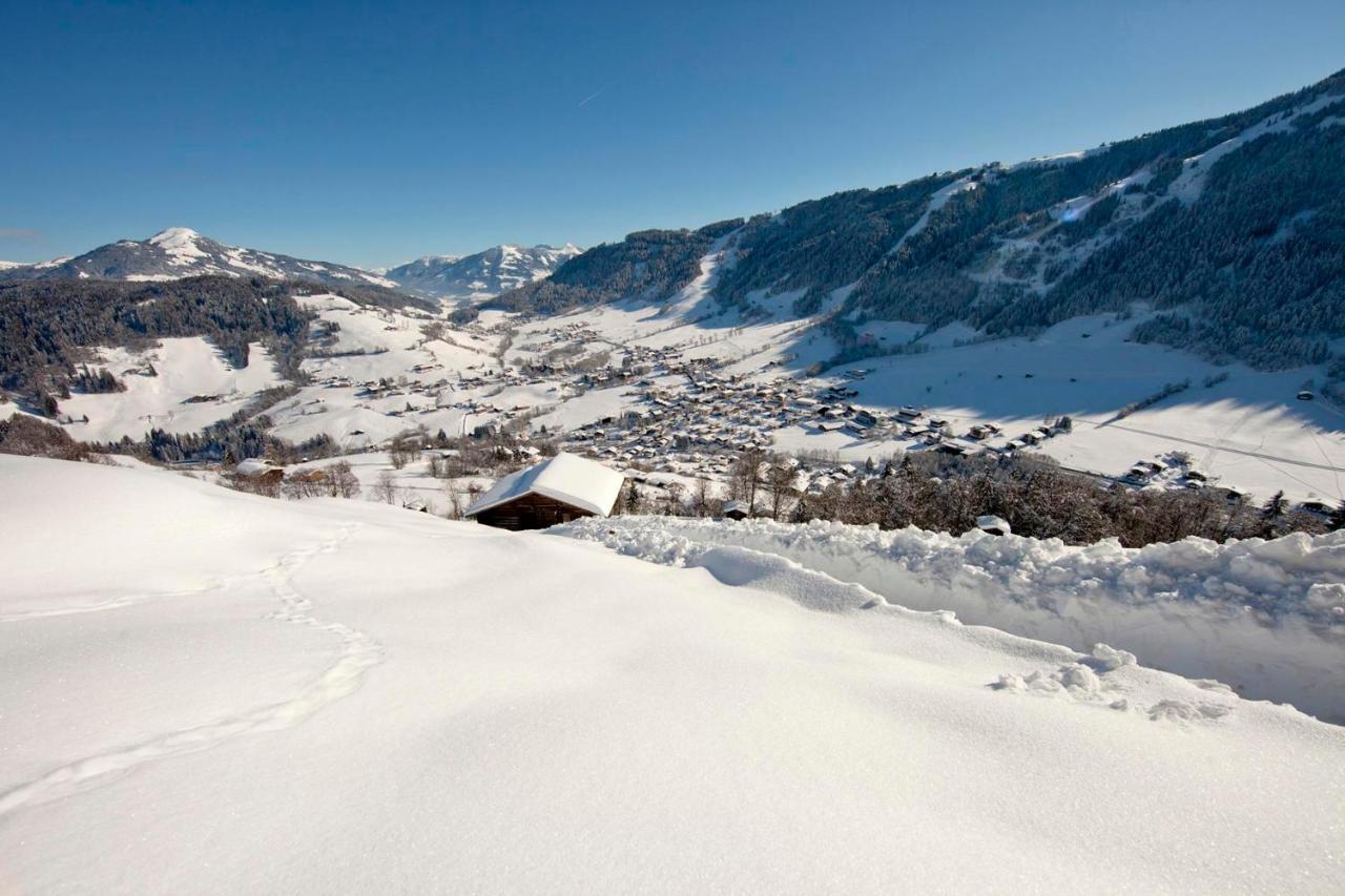 Exklusiv Apartment Sonnenalp Niederau Eksteriør bilde